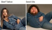 1755291119039.jpeg
