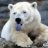 polarmike